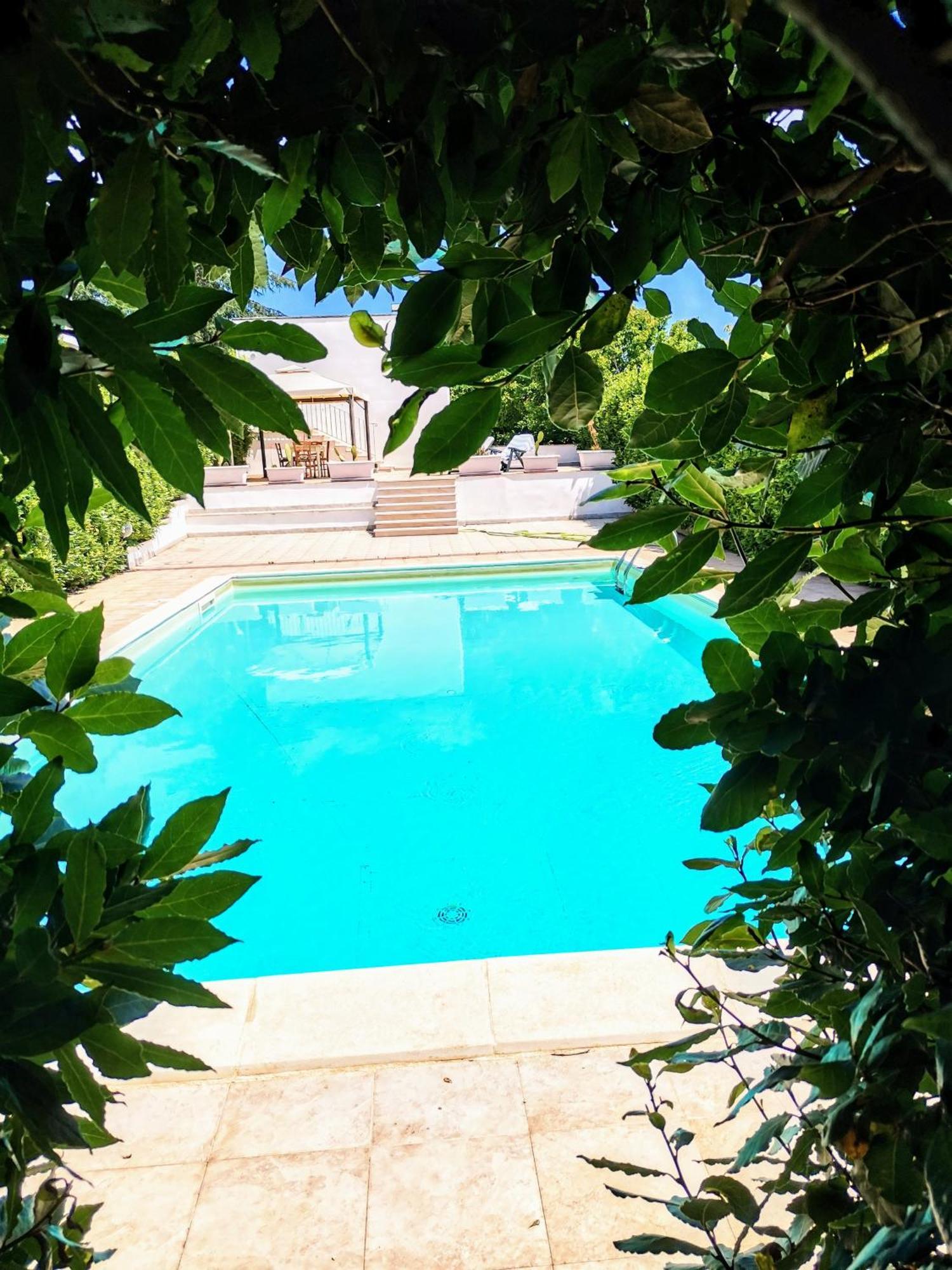 Trulli And Pool - I Cactus Villa Martina Franca Dış mekan fotoğraf