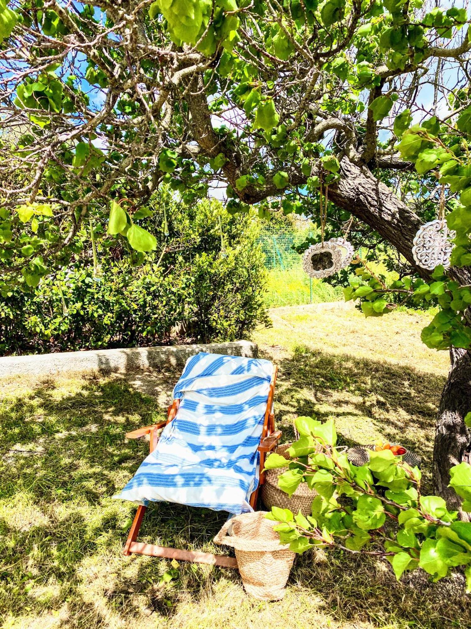Trulli And Pool - I Cactus Villa Martina Franca Dış mekan fotoğraf